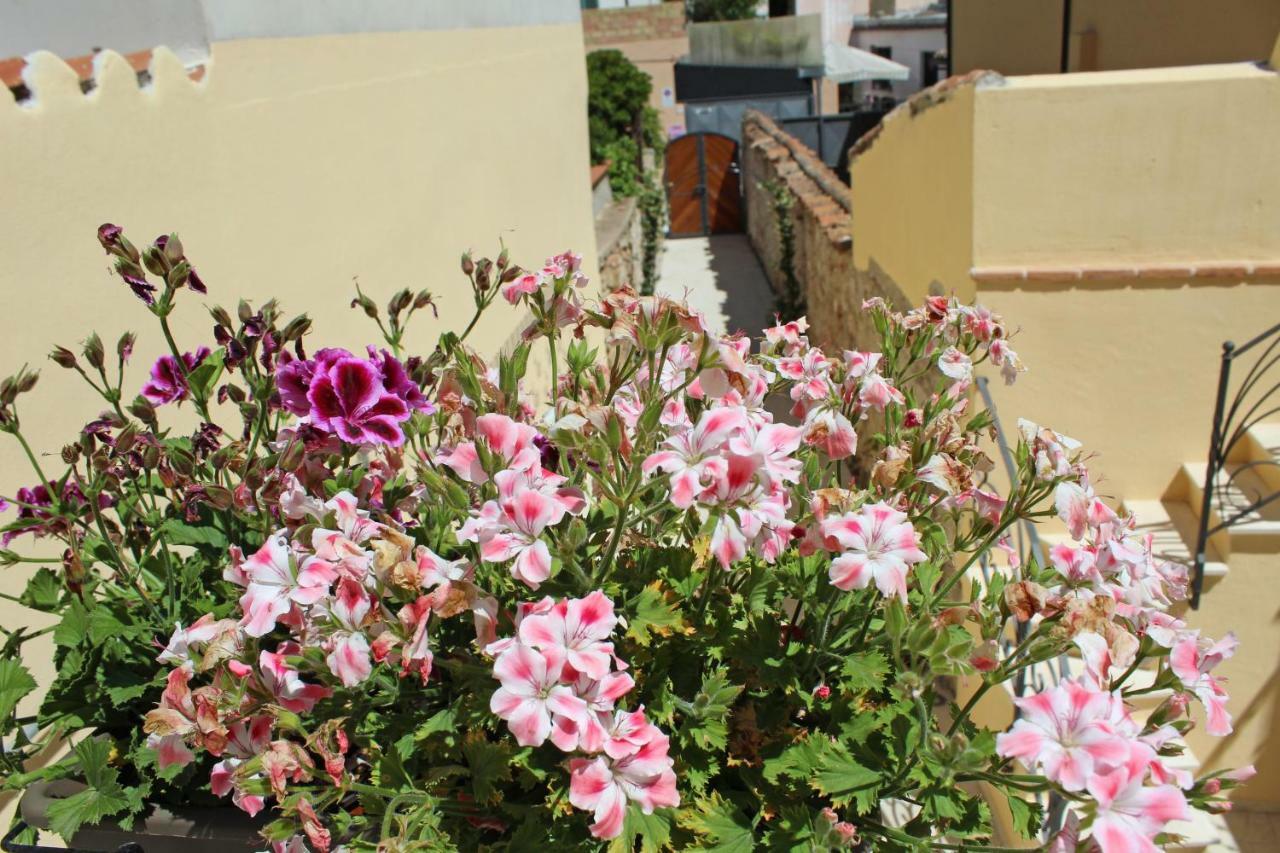 Ogliastra Luxury Apartment - Ajpsardinia 托尔托利 外观 照片